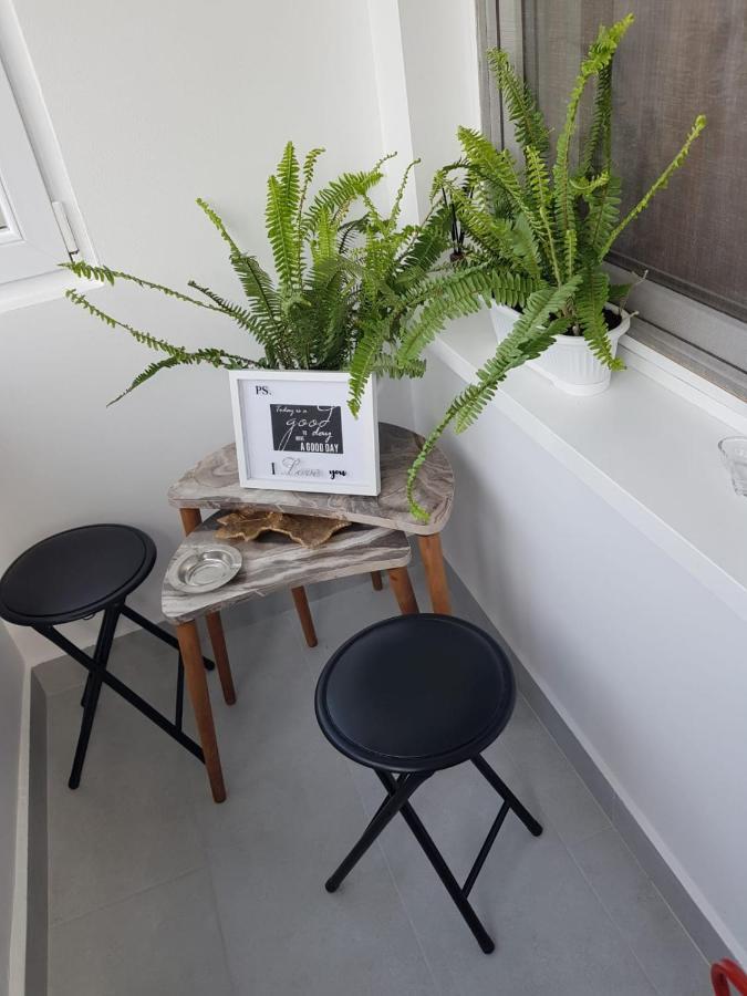 Ana Apartament Râmnicu Vâlcea المظهر الخارجي الصورة