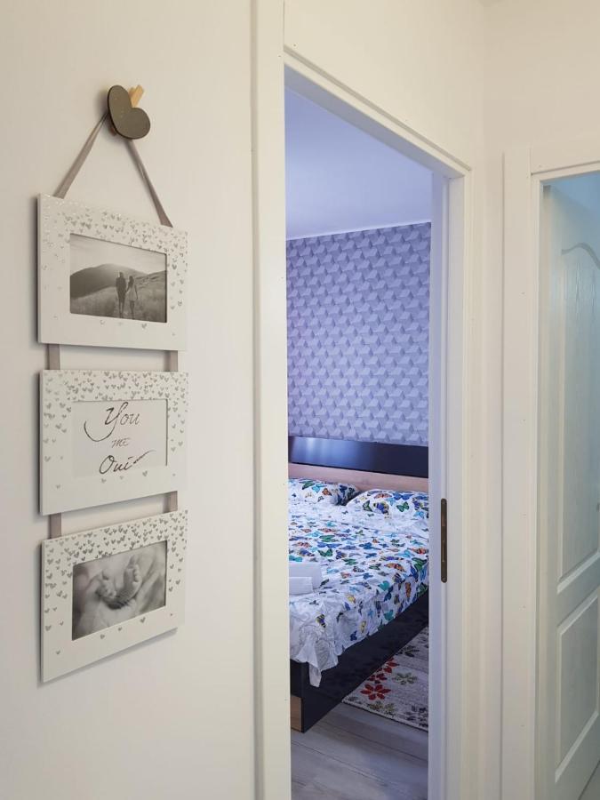 Ana Apartament Râmnicu Vâlcea المظهر الخارجي الصورة