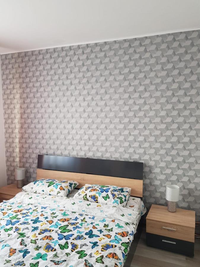 Ana Apartament Râmnicu Vâlcea المظهر الخارجي الصورة