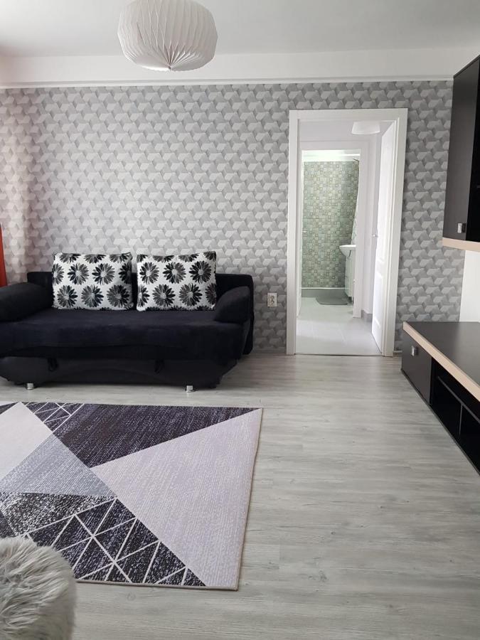 Ana Apartament Râmnicu Vâlcea المظهر الخارجي الصورة