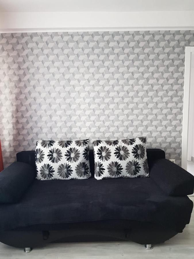 Ana Apartament Râmnicu Vâlcea المظهر الخارجي الصورة