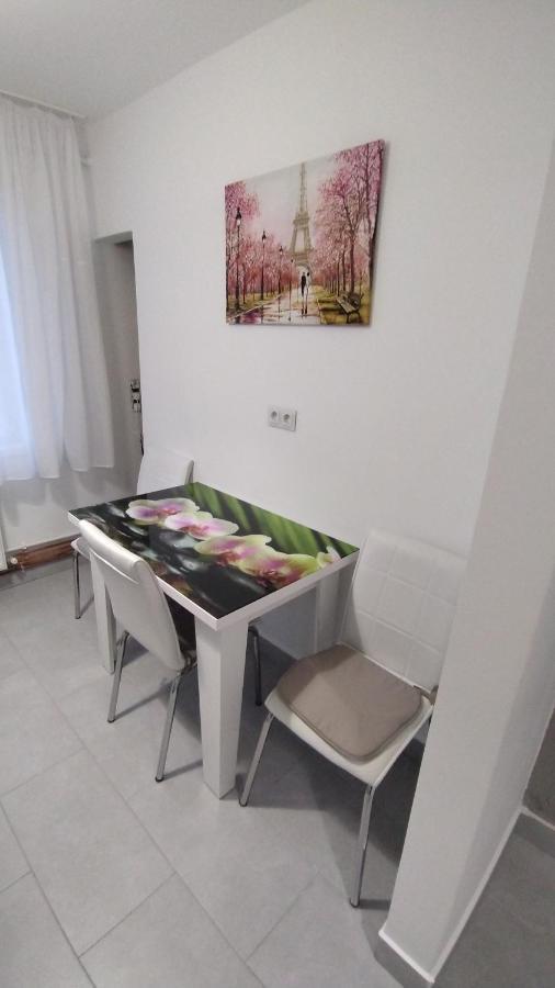 Ana Apartament Râmnicu Vâlcea المظهر الخارجي الصورة